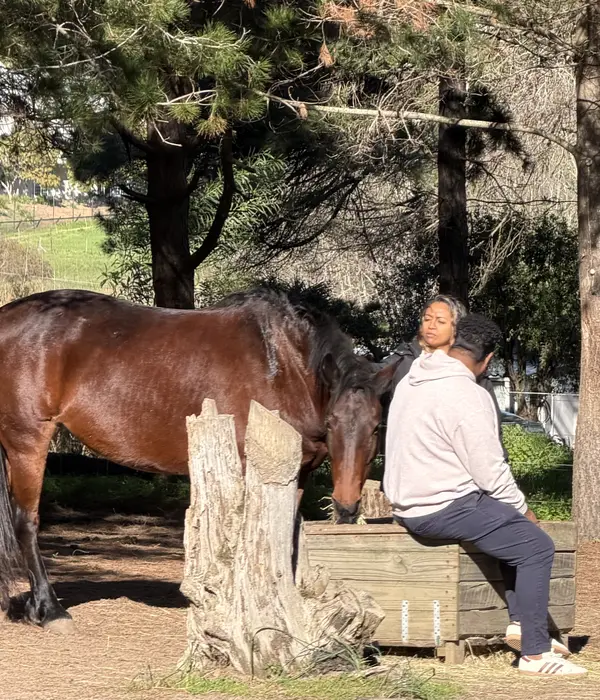 Een man in een lichtgrijze hoodie zit op een houten kist, vergezeld door een vrouw en een donkerbruin paard in een zonnig bos.
